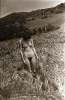 cca 1976 Természetközelben, szolidan erotikus felvételek, 33 db vintage negatív, 24x36 mm