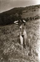 cca 1976 Természetközelben, szolidan erotikus felvételek, 33 db vintage negatív, 24x36 mm