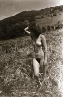 cca 1976 Természetközelben, szolidan erotikus felvételek, 33 db vintage negatív, 24x36 mm