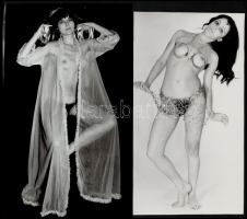 cca 1972 Válogatás különféle portfóliókból, szolidan erotikus felvételek, 7 db vintage fotó, 16,5x7 ...