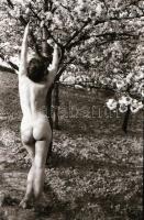 cca 1971 Tiltott gyümölcs, szolidan erotikus felvételek, 8 db vintage negatív, 24x36 mm