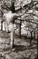 cca 1971 Tiltott gyümölcs, szolidan erotikus felvételek, 8 db vintage negatív, 24x36 mm