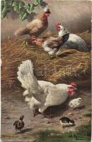 9 db régi művészlap, vidéki életképek, közte 1 Déva kihajtható panorámalap / 9 pre-1945 art postcard...