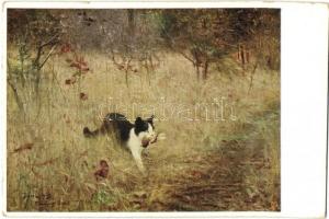 9 db régi művészlap, vidéki életképek, közte 1 Déva kihajtható panorámalap / 9 pre-1945 art postcard...