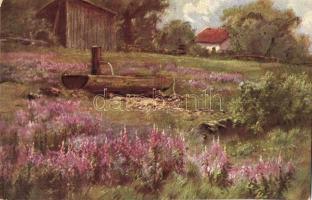 5 db régi megíratlan művészlap, német tájkép sorozat / 5 pre-1945 unused art postcards, German lands...