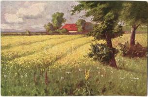 5 db régi megíratlan művészlap, német tájkép sorozat / 5 pre-1945 unused art postcards, German lands...