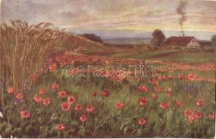 5 db régi megíratlan művészlap, német tájkép sorozat / 5 pre-1945 unused art postcards, German lands...