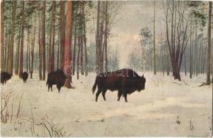 11 db régi művészlap, tájképek, hölgyek, közte 2 városképes lap (Zilah, Magyaróvár) / 11 pre-1945 ar...