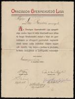 1909 az Országos Gyermekvédő Liga köszönő oklevele Lőcs Rezső (?-?) Arad vármegyei adófelügyelő felesége részére