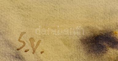 Somlai Vilma (1938-2007): Napfogyatkozás a nádas felett, akvarell, papír, jelzett, paszpartuban, 46×...