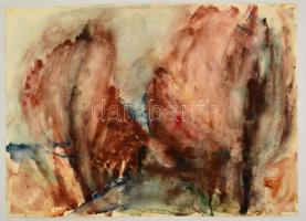 Somlai Vilma (1938-2007): Fasor viharban, akvarell, papír, hátulján jelzett, 37×51 cm