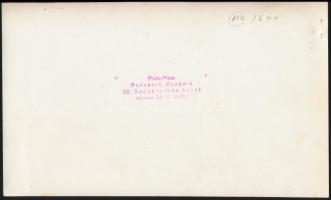 cca 1950 Budapest, Május elsejei felvonulás, pecséttel jelzett sajtófotó, 14×24 cm