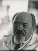 Dr. szentmiklósi Anghi Csaba (1901-1982) a Budapesti Állatkert egykori főigazgatója, sajtófotó, Szalay Zoltán, 24×18 cm