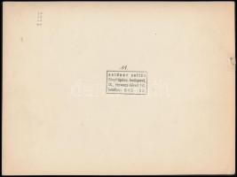 Seidner Zoltán(1896-1960): Szobabelsők, 2 db fotó, pecséttel jelzett, felületükön törésnyomokkal, 17...