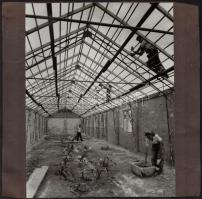 cca 1960-1970 Sztálinváros, Építkezések, 2 db albumlapra ragasztott fotó, 18x24 cm