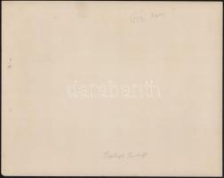 Balogh Rudolf (1879-1944): Terménykiállítás, jelzés nélküli fotó, 23×29 cm