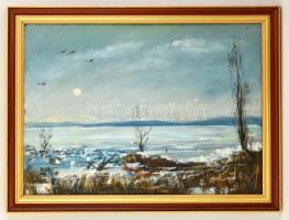 Vágfalvi Ottó (1925-2015) : Jeges Balaton. Olaj, farost, jelzett, keretben, 60×80 cm