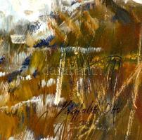 Vágfalvi Ottó (1925-2015) : Jeges Balaton. Olaj, farost, jelzett, keretben, 60×80 cm