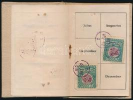 1917 Debreczeni Helyi Vasút havi bérletjegy, fényképpel, bélyegekkel