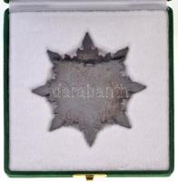 DN "Honvédelmi Minisztérium" aranyozott és zománcozott fém emlékérem csillag alapon, erede...