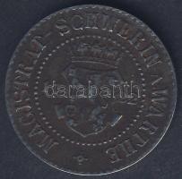 Német Birodalom/Weimari Köztársaság/Schwerin A.Warthe dátum nélkül 50Pf fém szükségpénz T:3