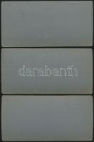 1935-1936 3 db sztereofotó: Budapest, Városliget-Vajdahunyadvár, Andrássy Gyula szobra az Országház ...