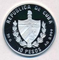 Kuba 1996. 10P Ag "Sárga sügér" hátoldal multicolor festett T:PP 
Cuba 1996. 10 Pesos Ag ...