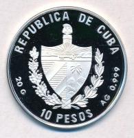 Kuba 1996. 10P Ag "Barna pelikán" hátoldal multicolor festett T:PP fo.
Cuba 1996. 10 Peso...
