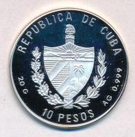 Kuba 1996. 10P Ag "Karolinai réce" hátoldal multicolor festett T:PP
Cuba 1996. 10 Pesos A...
