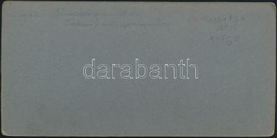 1939 Budapest, fürdőző gyermekek, tabáni(?) szökőkút, sztereofotó, hátulján feliratozva, 9×18 cm