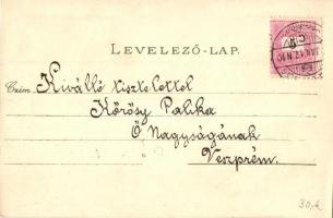 1898 Kassa, Kosice; Fő utca, lóvasút, Gazdasági tanintézet, Mária szobor. Koczányi és Vitéz kiadása ...