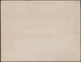 cca 1923 Vajta, az épülő Zichy-kastély, fotó, kartonra ragasztva, feliratozva, a karton sérült, 12×2...