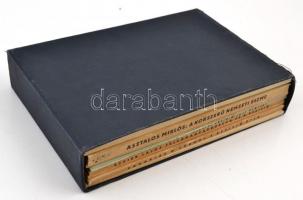 Az "Erdélyi Férfiak Egyesülete" sorozat 9 kötete különféle revíziós témákban (A korszerű n...