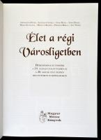 Élet a régi Városligetben. Hétköznapok, és ünnepek a 19. század utolsó éveiben és a 20. század első ...