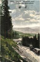 Tátra, Csorba-tó fogaskerekű vasút, gőzmozdony. Cattarino S. utóda Földes Samu kiadása 194. sz. / Csorber-See Zahnradbahn / Strbské Pleso / cogwheel railway, locomotive (EB)