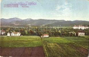 20 db régi felvidéki, szlovák városképes lap / 20 pre-1945 Slovakian town-view postcards