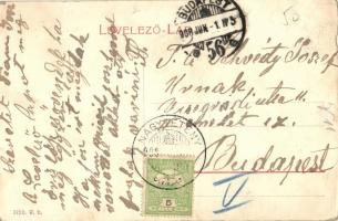 Budapest XXII. Nagytétény, Fehér Kereszt árvaház. W. L. 372b. (EK)