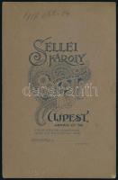 1917 Katonák Pesti Naplóval, keményhátú fotó Sellei Károly újpesti műterméből, hátulján feliratozva,...