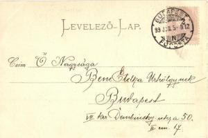 1899 Budapest, látkép a Királyi palotától és a Lánchíd