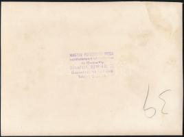 1940 Nagyszalonta, Országzászló avató ünnepség, középen dr. Kiss Ferenccel és feleségével, a Magyar ...