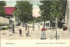 Budakeszi, Erdő utca. Kiadja Stern Jakab