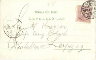 1897 (Vorläufer!) Sopron, Oedenburg; Rathaus, Höhere-Tochter-Schule, Theater, Casino, Comitatsplatz,...