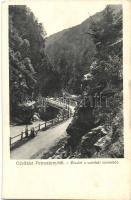 Petrozsény, Petrosani; Részlet a Szurduki-szorosból, híd. Herz Henrik kiadása / Pasul Surduc, bridge (EK)