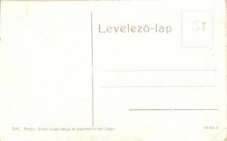 Lippa, Lipova; Maros folyó vashídja. W. L. (?) 3042. Kiadja Zeitler Lajos / Eisenbrücke über Maros-F...