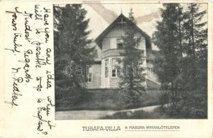 Magura, Magura Ilvei; Tubafa villa a Magura nyaralótelepen. Stief J. és Társa / villa (EK)