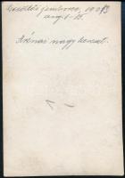 1933 Gödöllő, Jamboree, Arénai nagy kereszt, hátoldlaon feliratozott fotó, 8,5×6 cm