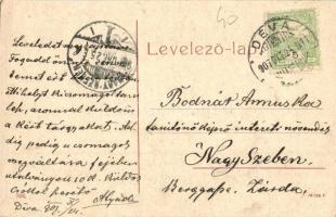 Déva, Deva; látkép. W. L. (?) No. 508. / general view (EK)