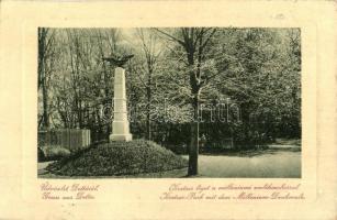 Detta, Ghedu, Deta; Kratzer liget, Milleniumi emlékszobor. W. L. Bp. 1117. / Kratzer-Park mit dem Millenium Denkmale / park, monument (EK)