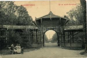 Buziás, Buzias; Út az acélfürdőhöz, bejárat. W. L. Bp. N. 2054. / road to the bath, spa entrance gate (fa)