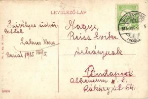 Buziás, Buzias; Út az acélfürdőhöz, bejárat. W. L. Bp. N. 2054. / road to the bath, spa entrance gat...